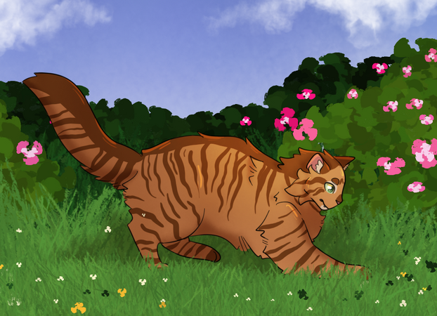 warrior cat